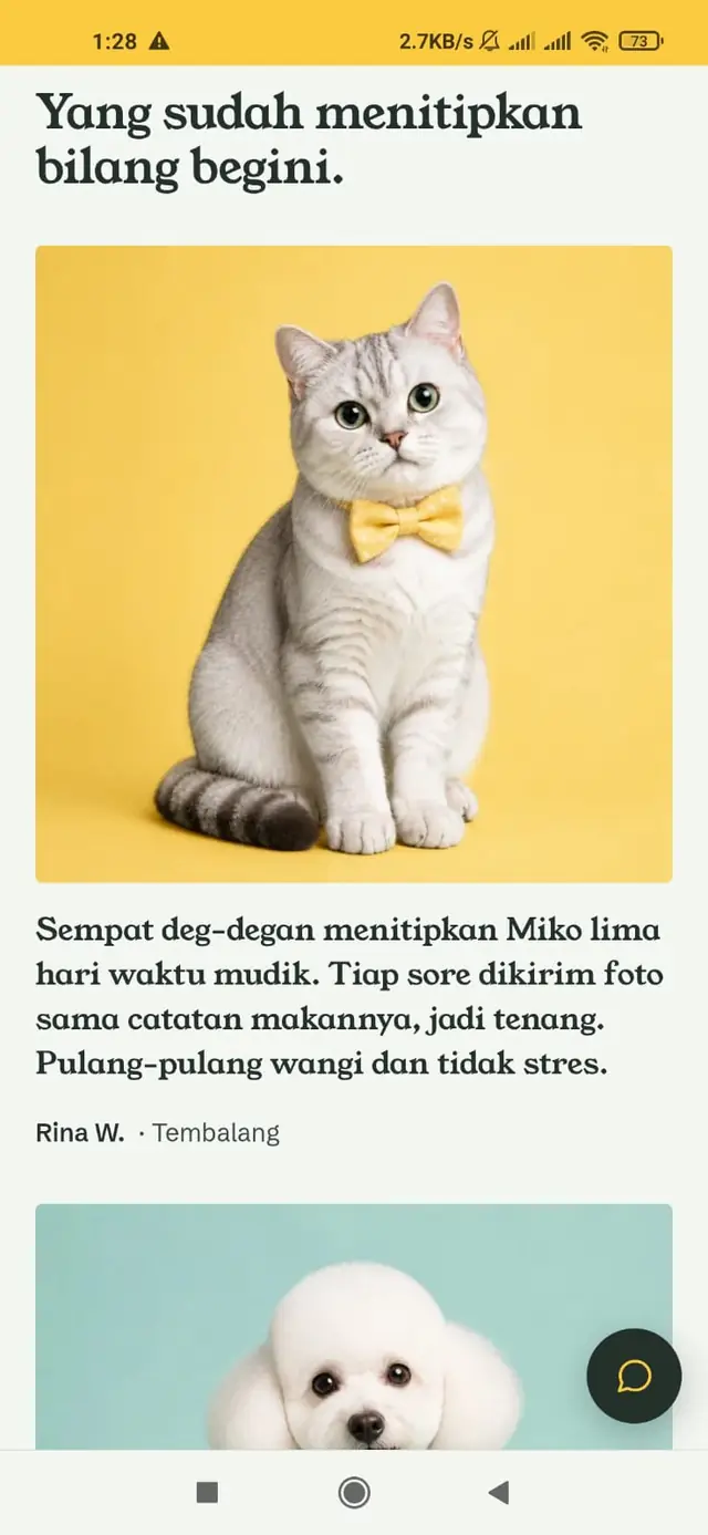 Testimoni penitipan kucing Miko di Rumah Bulu Semarang